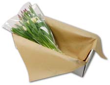 Fresh Cut Flower shipping at Tulips.com!
